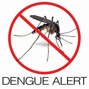 alert-dengue