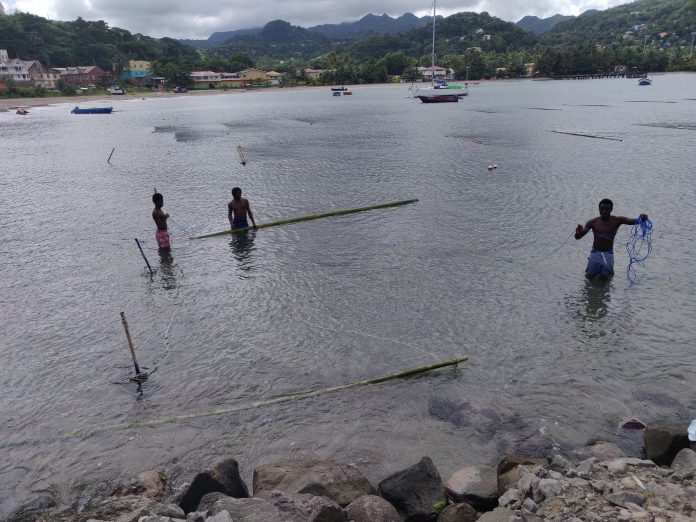 Grenada: Breakwater in Sauteurs completes Sea Moss Marine culture exercise