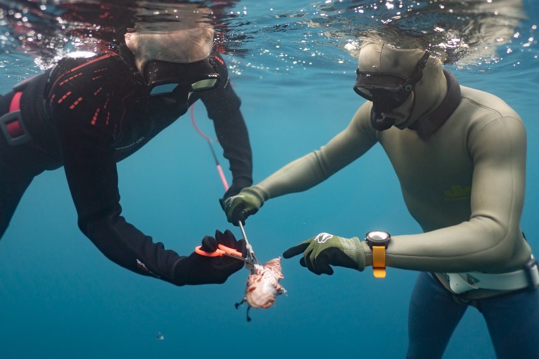 Sea to Sky Freediving teaches spearfishing to students during Training